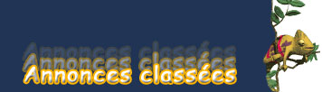 Les annonces classées du Centre du Québec Plus
